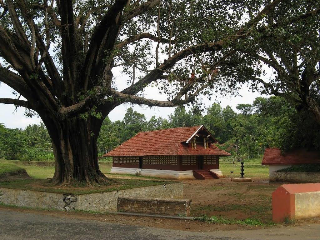 Wayanad Gate Resort Mananthavady Exterior foto