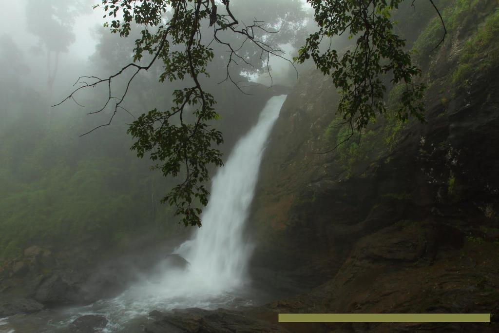 Wayanad Gate Resort Mananthavady Exterior foto