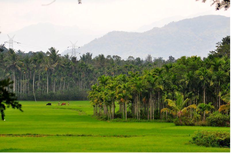 Wayanad Gate Resort Mananthavady Exterior foto
